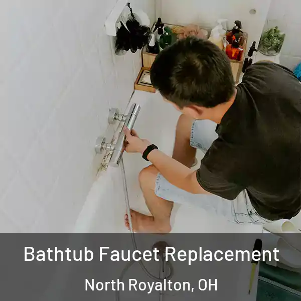 Bathtub Faucet Replacement North Royalton, OH