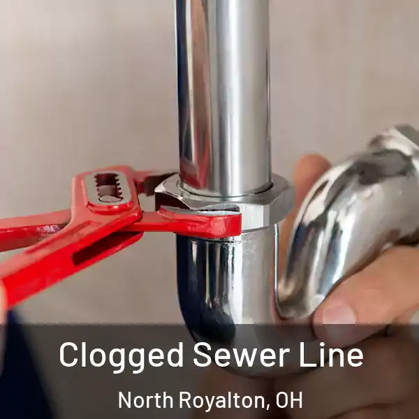  Clogged Sewer Line North Royalton, OH
