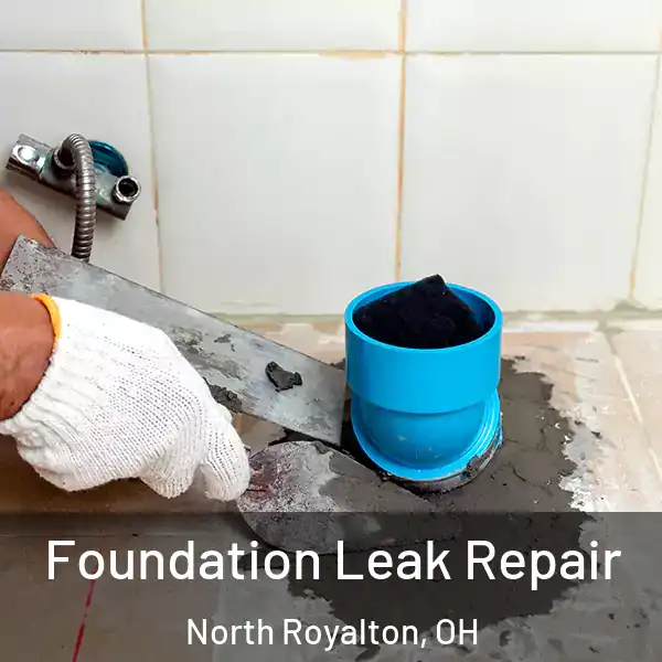  Foundation Leak Repair North Royalton, OH
