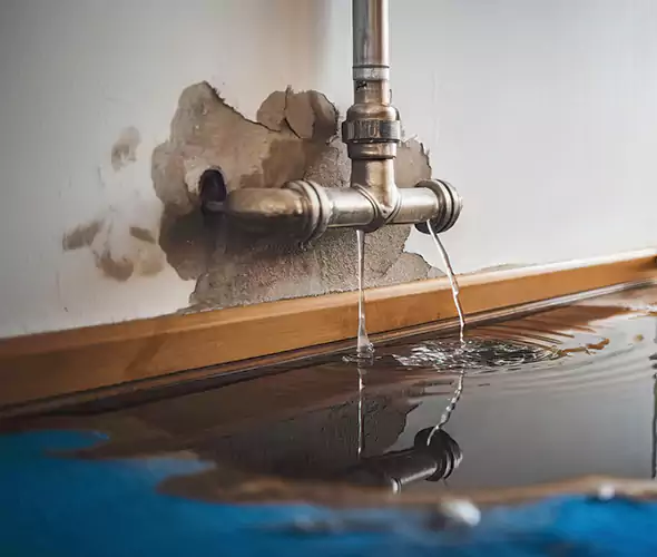 Professional Water Damage Restoration Experts in North Royalton, OH — Fast, Reliable & Certified