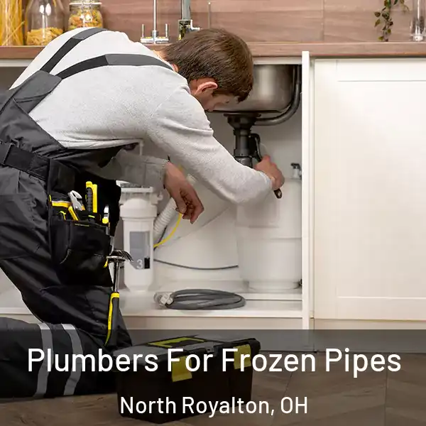  Plumbers For Frozen Pipes North Royalton, OH