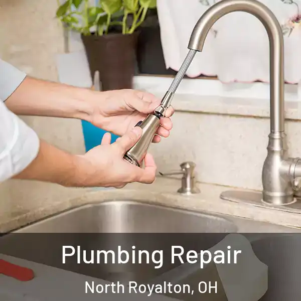  Plumbing Repair North Royalton, OH