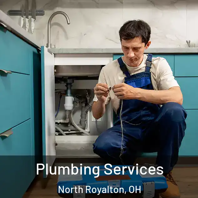  Plumbing Services North Royalton, OH