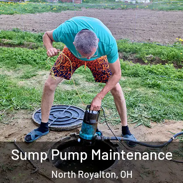  Sump Pump Maintenance North Royalton, OH