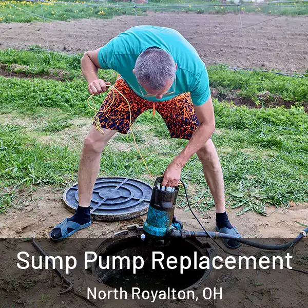 Sump Pump Replacement North Royalton, OH
