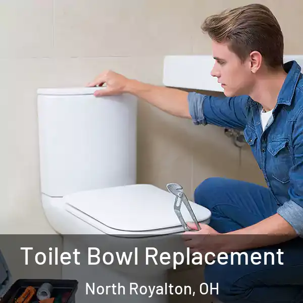  Toilet Bowl Replacement North Royalton, OH