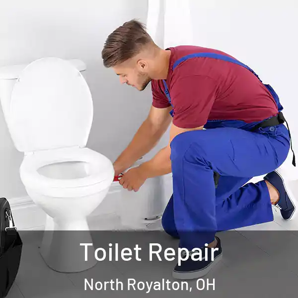  Toilet Repair North Royalton, OH