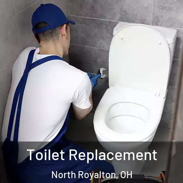  Toilet Replacement North Royalton, OH