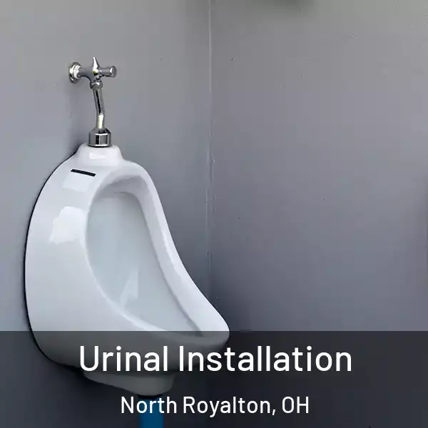  Urinal Installation North Royalton, OH