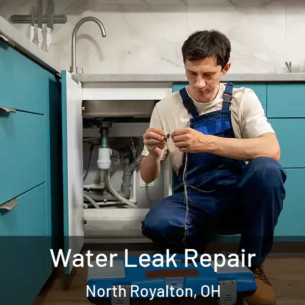  Water Leak Repair North Royalton, OH